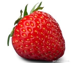 Are Strawberries Safe for Dogs? Nutritional Benefits & Feeding Tips