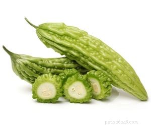 Is Bitter Gourd Safe for Dogs? A Vet-Approved Guide