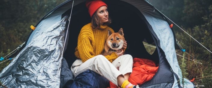 Central Oregon Camping: 9 Expert Tips for Traveling with Your Dog