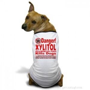 Xylitol: What Pet Owners Need to Know About Its Benefits and Risks
