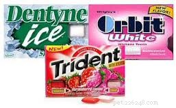 Xylitol: What Pet Owners Need to Know About Its Benefits and Risks
