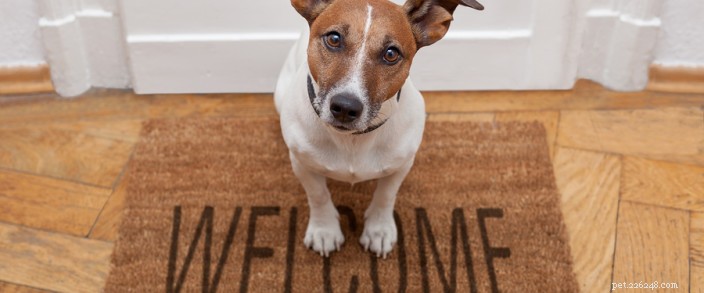 Choosing the Best Vet for Your Furry Friend in Bend, Oregon