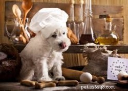 Uncooked Bread Dough Is Lethal to Pets: Protect Your Dogs and Cats