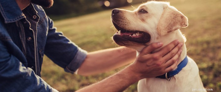Top Dog Parks in Bend, Oregon: Off‑Leash Play & Exercise for Your Pup