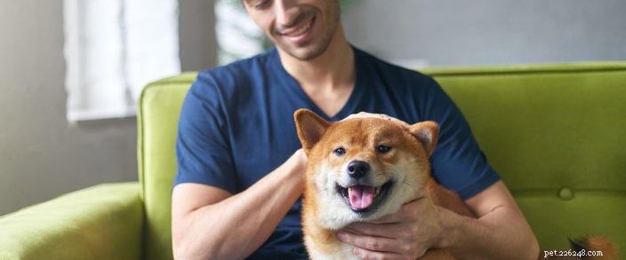 Mastering Responsible Pet Ownership: A Complete Guide
