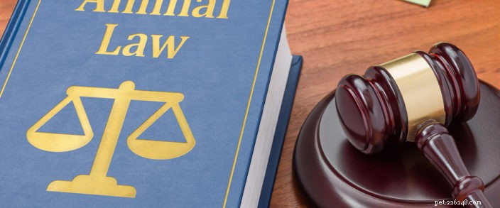 Oregon Animal Ownership Laws Explained: A Guide for Pet Owners