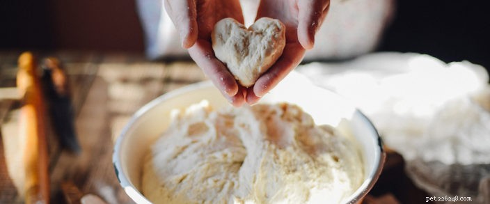 Why Uncooked Dough is Dangerous for Dogs & Cats