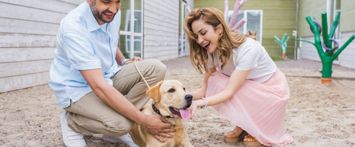 How to Seamlessly Welcome Your New Adopted Pet into Your Home