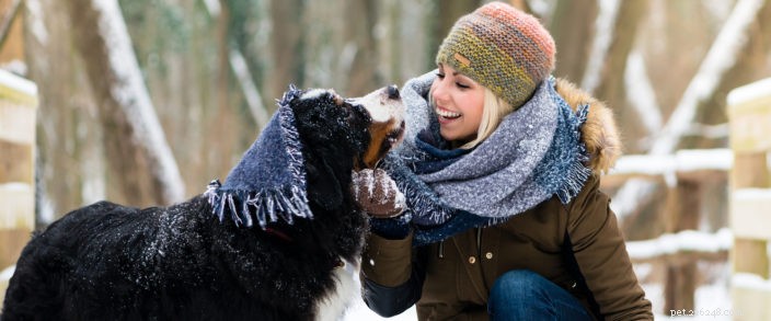 Protect Your Pets in Winter: Essential Tips for Keeping Them Safe in Cold Weather
