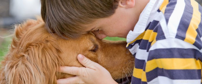 Decoding Your Dog’s Body Language: A Guide to Understanding Their Emotions