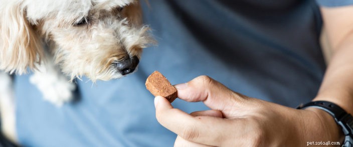 Protect Your Pets from Heartworm: Essential Prevention Strategies