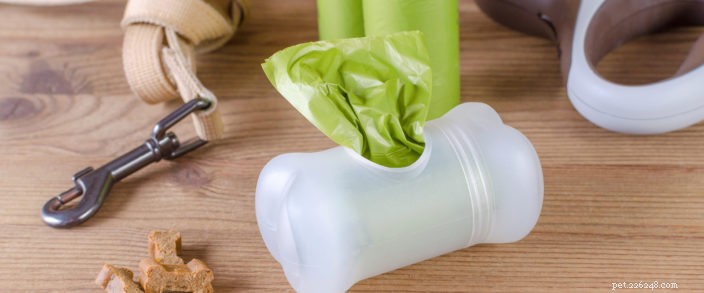 Eco-Friendly Pet Care: Reduce Waste & Protect the Planet