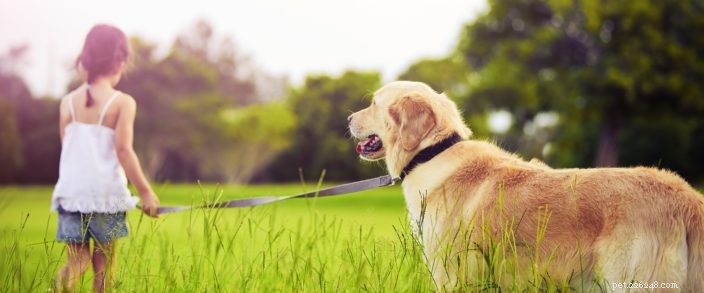Celebrate Earth Day in Bend: 5 Eco-Friendly Activities for You and Your Pet