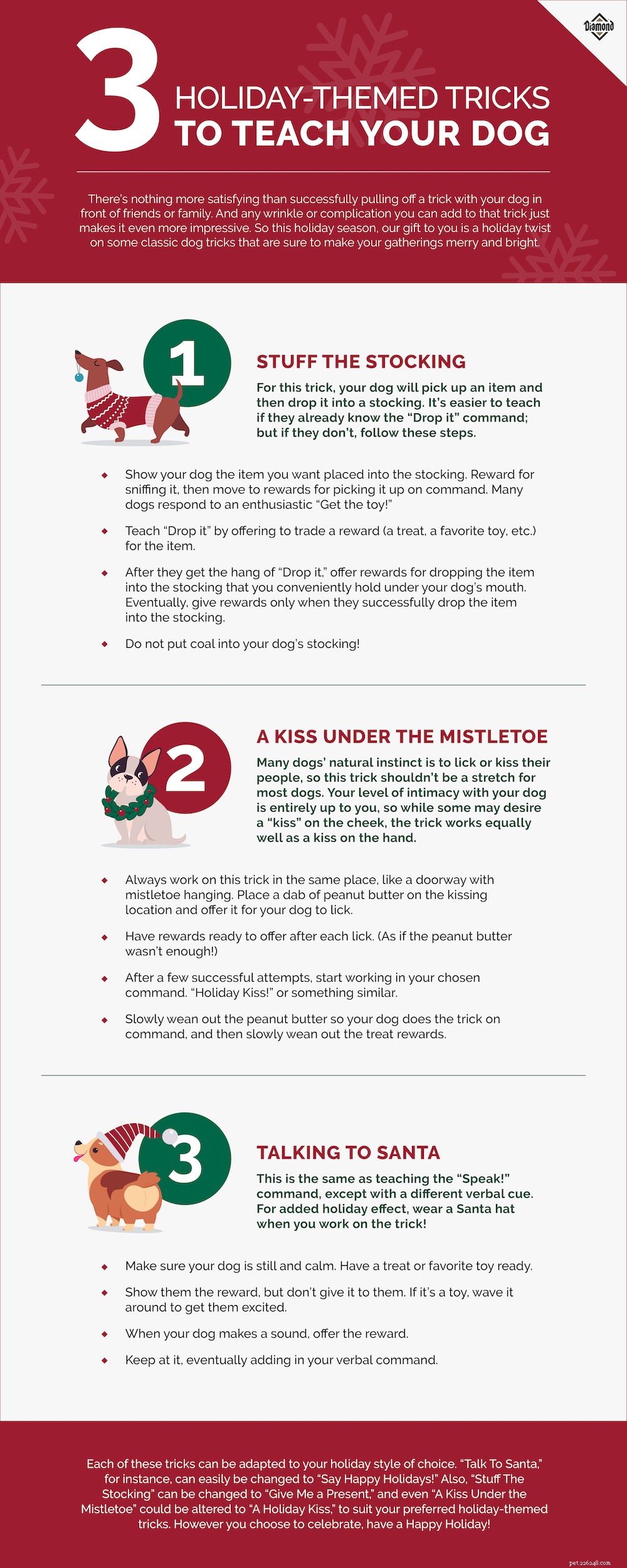Holiday‑Themed Tricks to Teach Your Dog This Season