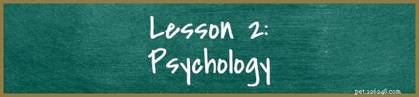 Calm Your Pet During Back-to-School: Simple Strategies to Reduce Anxiety