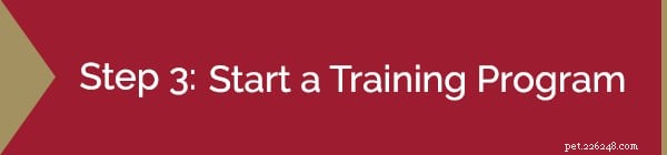 Train Your Dog for Long-Distance Running: Proven Steps for a Healthy, Strong Running Partner