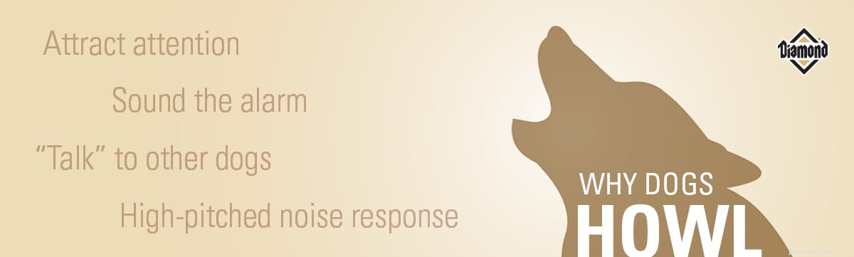 Understanding Dog Howling: Causes & Effective Solutions