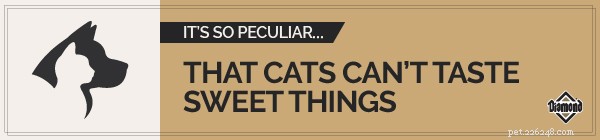 Why Cats Can t Taste Sweetness: The Science Behind Their Unique Diet