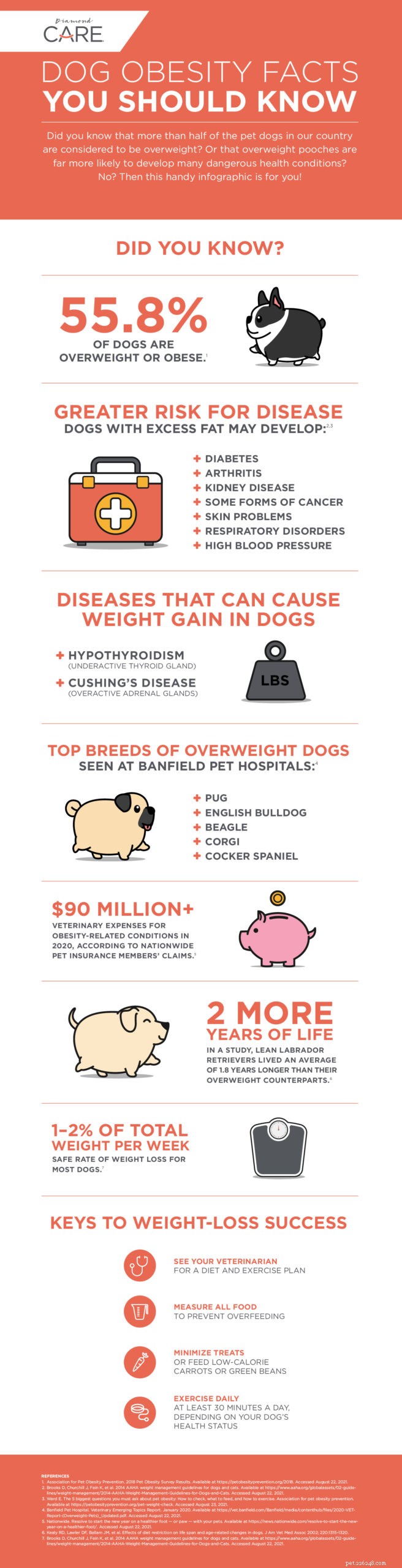 Understanding Canine Obesity: Key Facts and Prevention