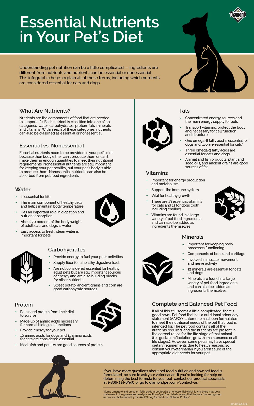 Key Nutrients Your Pet Needs for Optimal Health