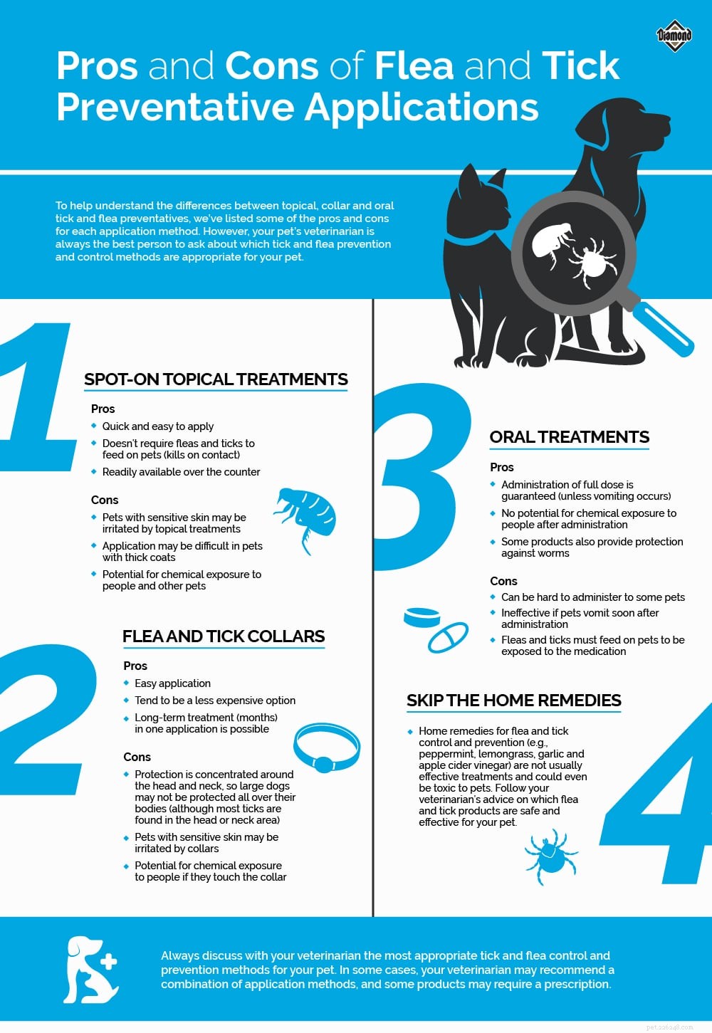 Choosing the Right Tick & Flea Prevention: Topical, Oral, or Collar Options