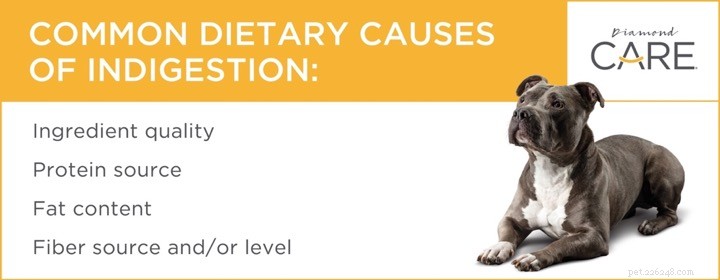Why Sensitive Stomach Dog Food Matters: Key Benefits & How to Choose the Right Formula