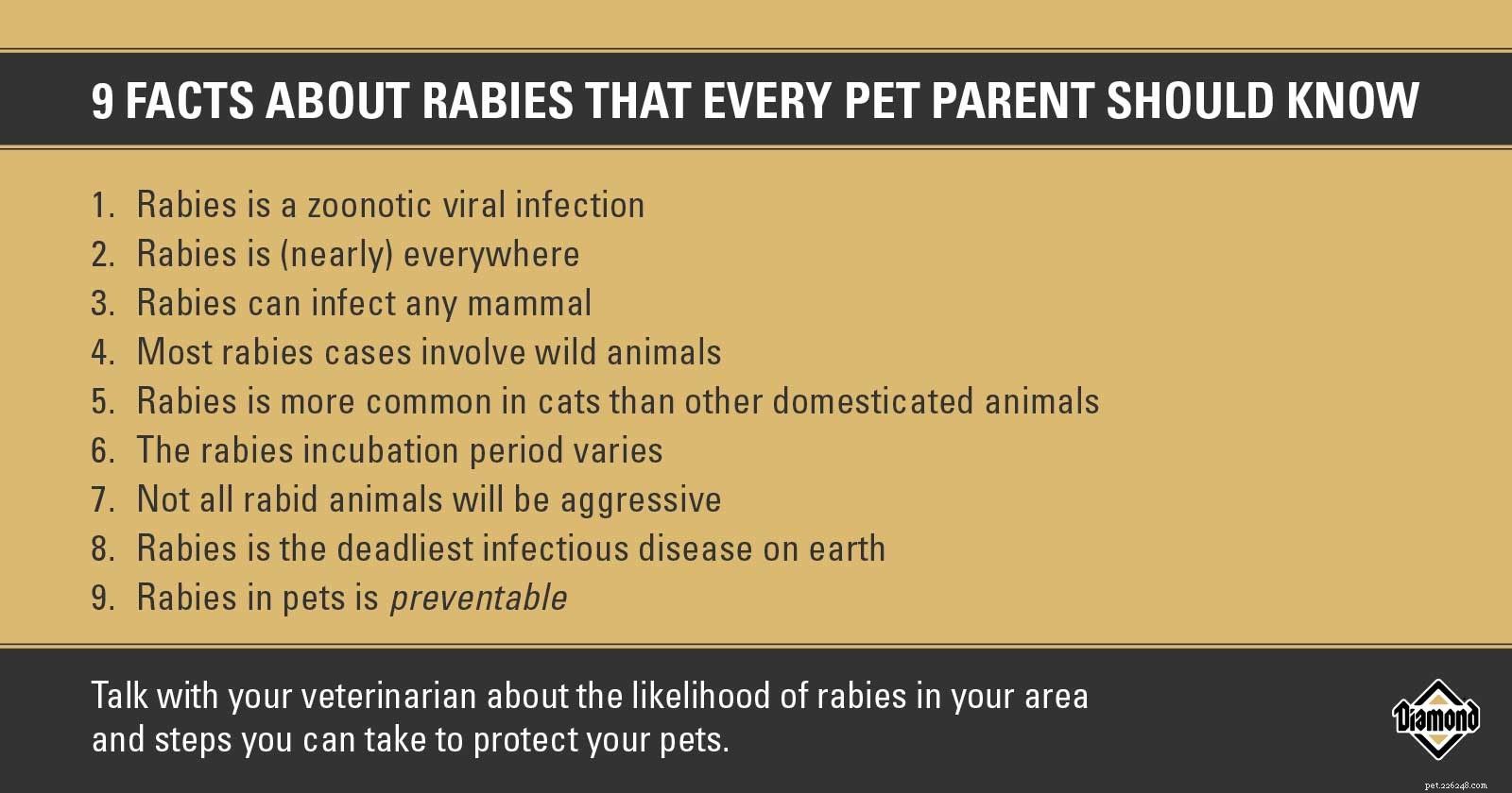 9 Essential Rabies Facts Every Pet Owner Must Know