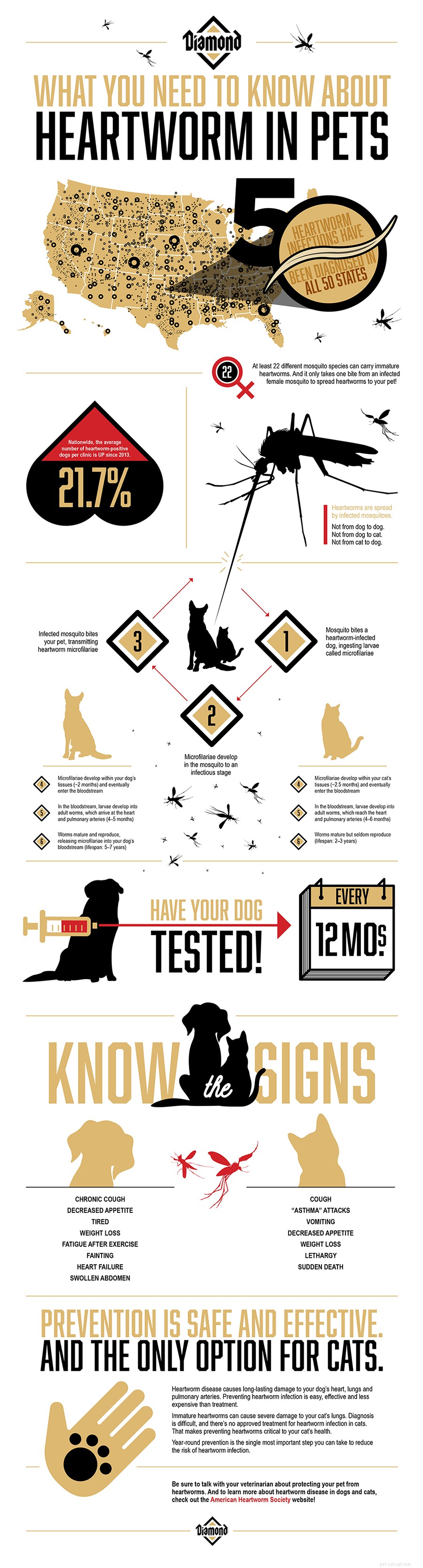 Essential Guide to Heartworm Prevention and Care for Pets