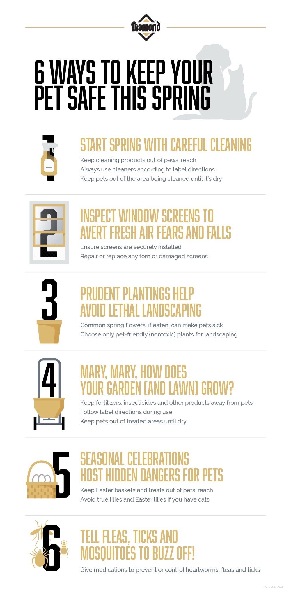 Essential Spring Safety Tips to Protect Your Pet From Hidden Hazards