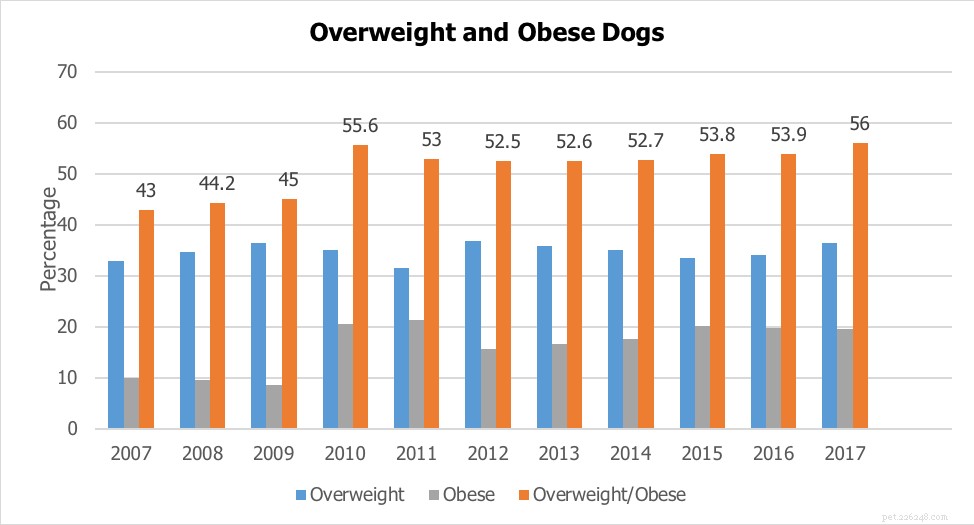 Canine Obesity on the Rise: 56% of U.S. Dogs Clinically Overweight