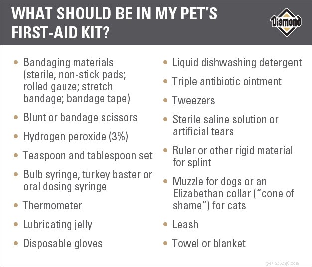 Essential Preparedness for Pet Health Emergencies: A Practical Guide
