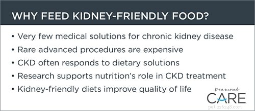 Why a Kidney‑Friendly Diet is Essential for Your Dog with Chronic Kidney Disease