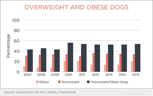 Why Are Dogs Gaining Weight? Key Causes & Prevention Tips