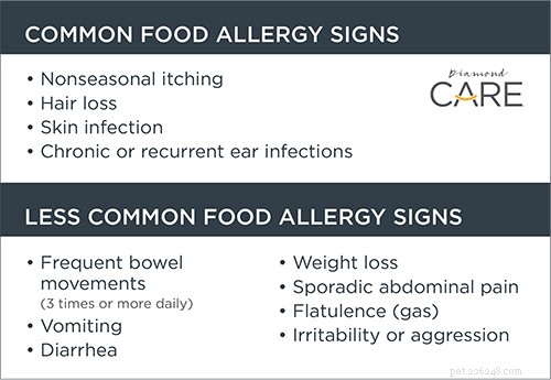 Understanding Food Allergies vs. Intolerances in Dogs: How to Spot Symptoms & Protect Your Pet