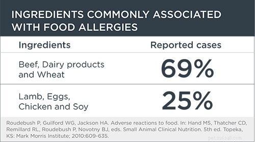 Understanding Food Allergies vs. Intolerances in Dogs: How to Spot Symptoms & Protect Your Pet