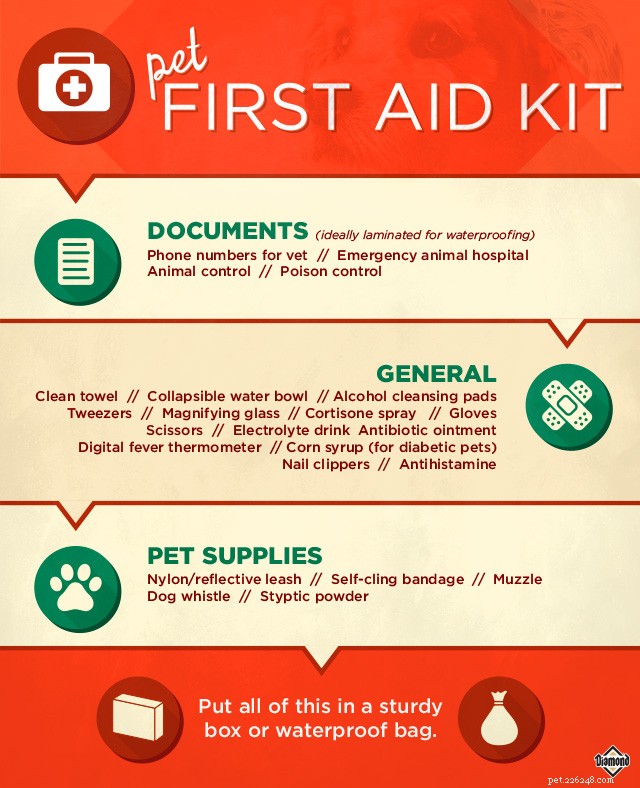 23 Must-Have Items for Your Pet s First Aid Kit