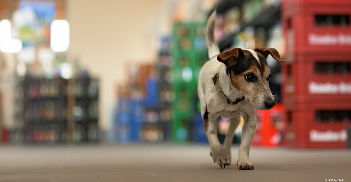 Decoding Pet Food Labels: A Trusted Guide by Diamond Pet Foods
