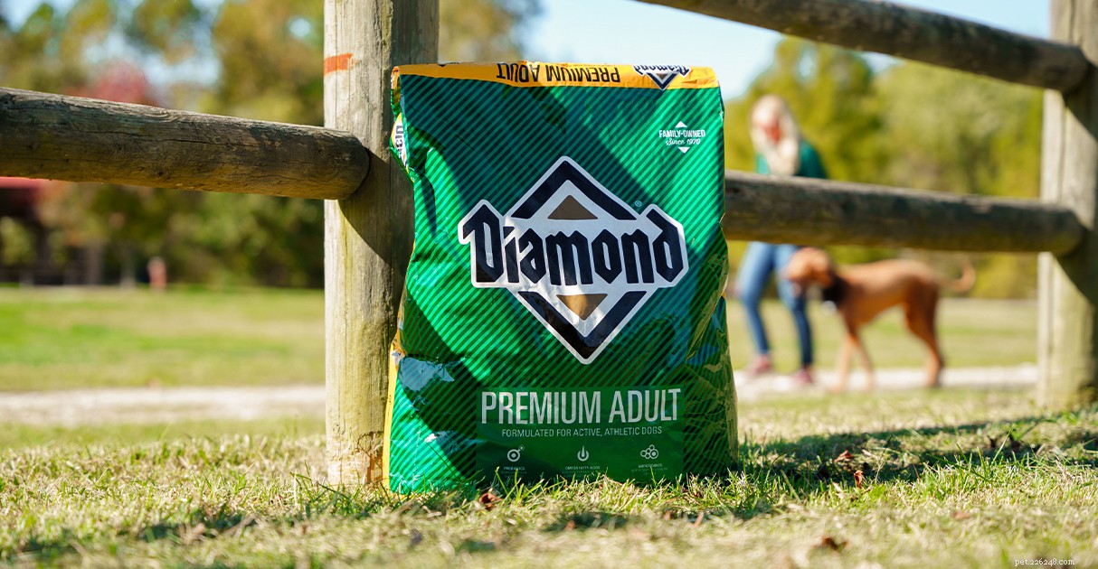 Decoding Pet Food Labels: A Trusted Guide by Diamond Pet Foods