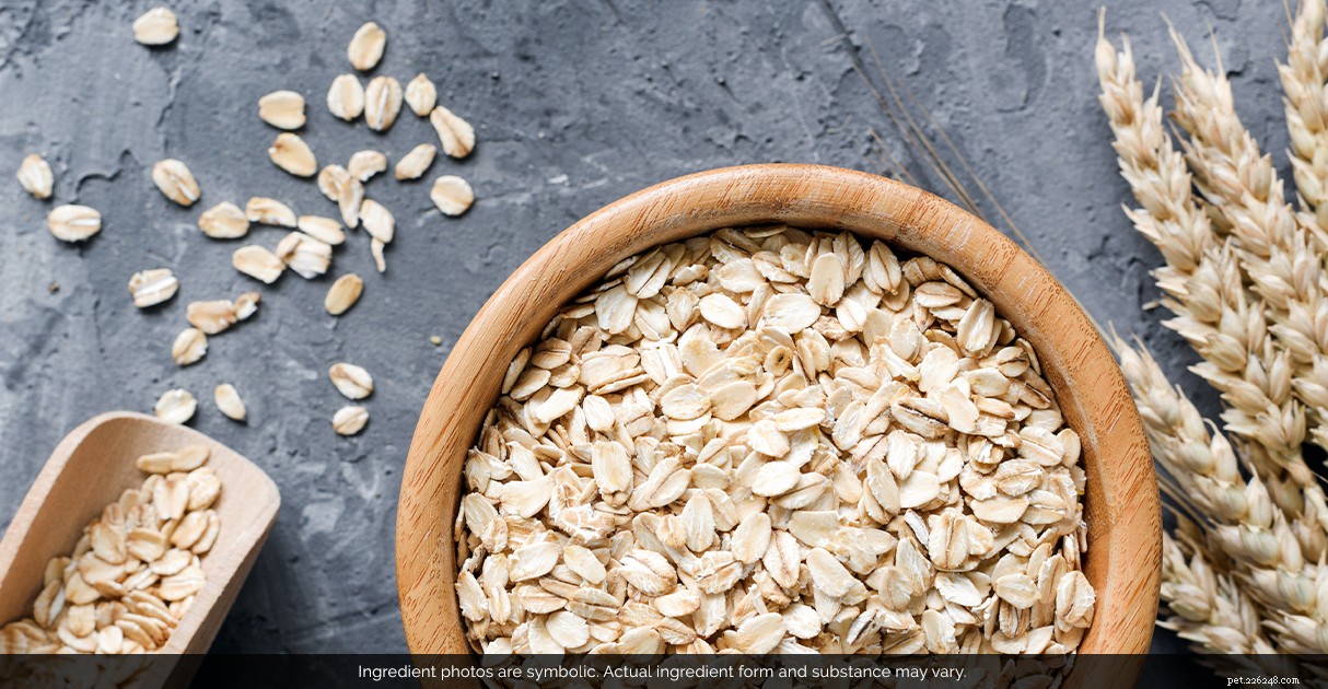 Decoding Pet Food Labels: A Trusted Guide by Diamond Pet Foods