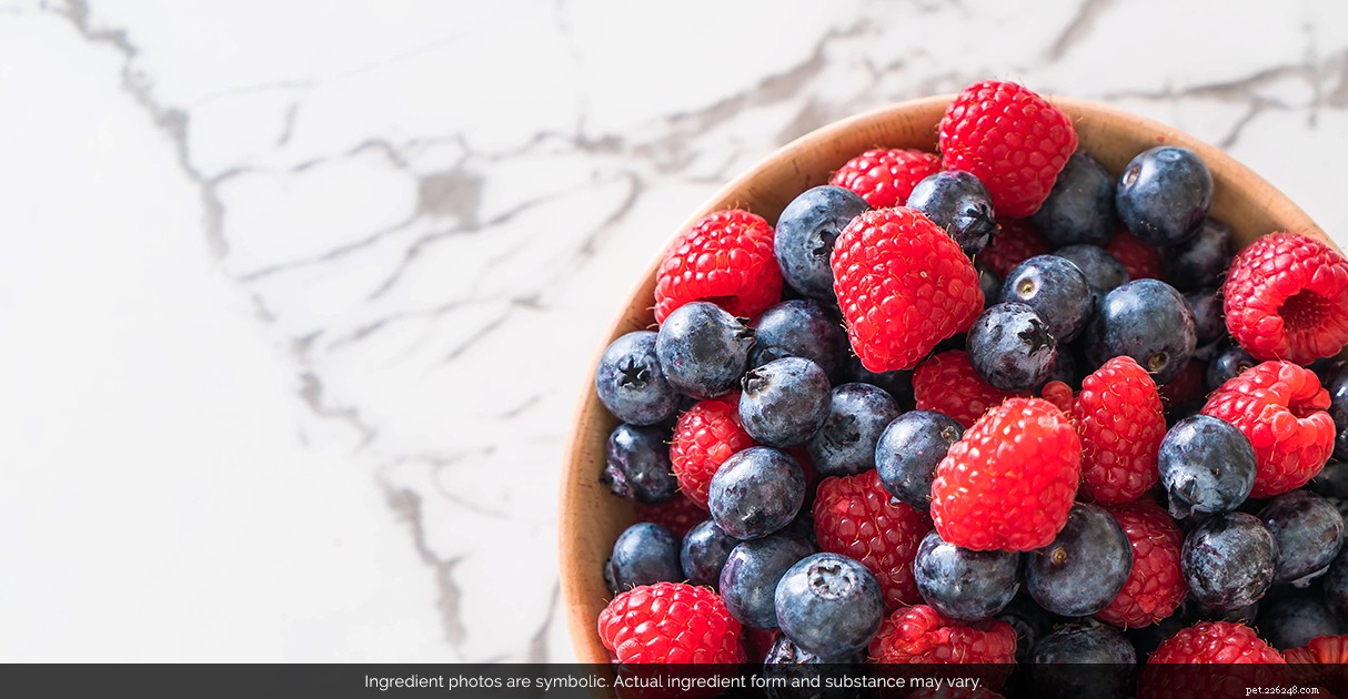 Decoding Pet Food Labels: A Trusted Guide by Diamond Pet Foods