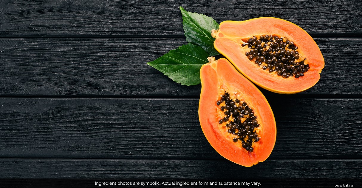 Decoding Pet Food Labels: A Trusted Guide by Diamond Pet Foods