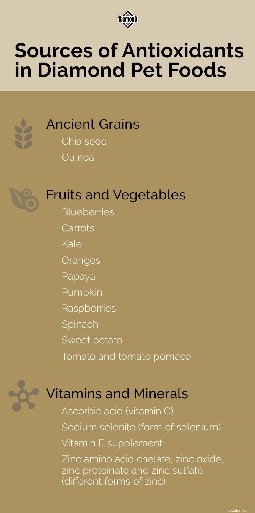 Unlocking the Health Power of Antioxidant‑Rich Pet Food Ingredients