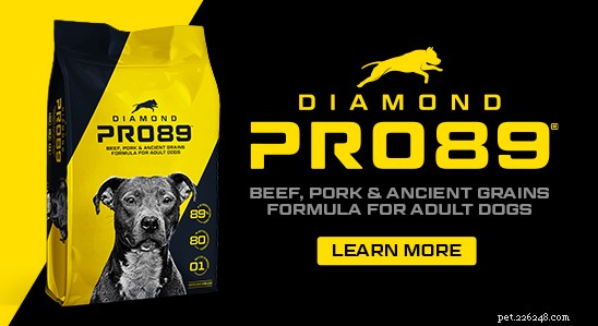 Optimizing Performance: How Nutrition Enhances Scent Detection in Working Dogs