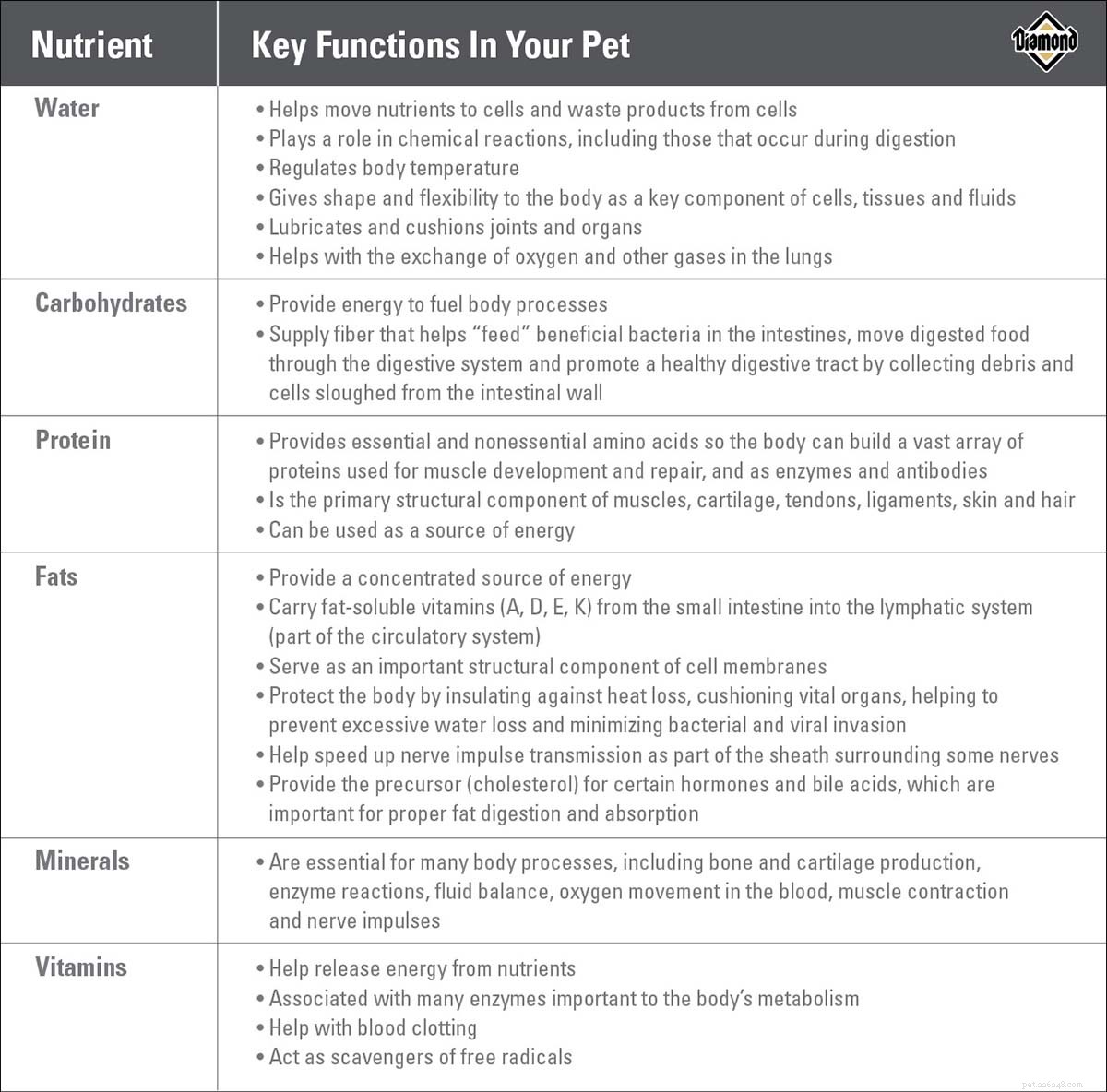 Nutrients vs Ingredients: What Really Matters for Your Pet’s Health