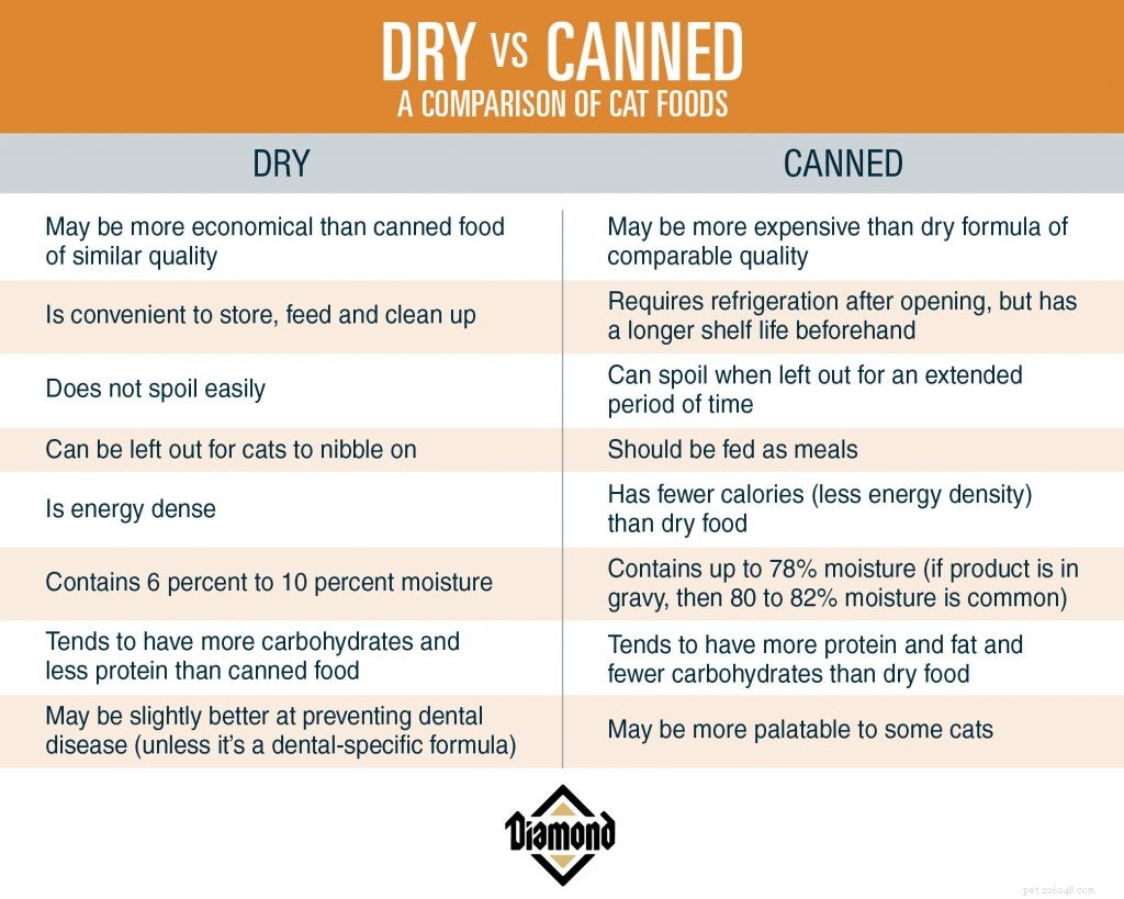 Canned vs. Dry Cat Food: How to Choose the Best Option for Your Feline