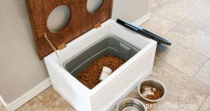 Smart, Stylish Solutions for Pet Food Storage