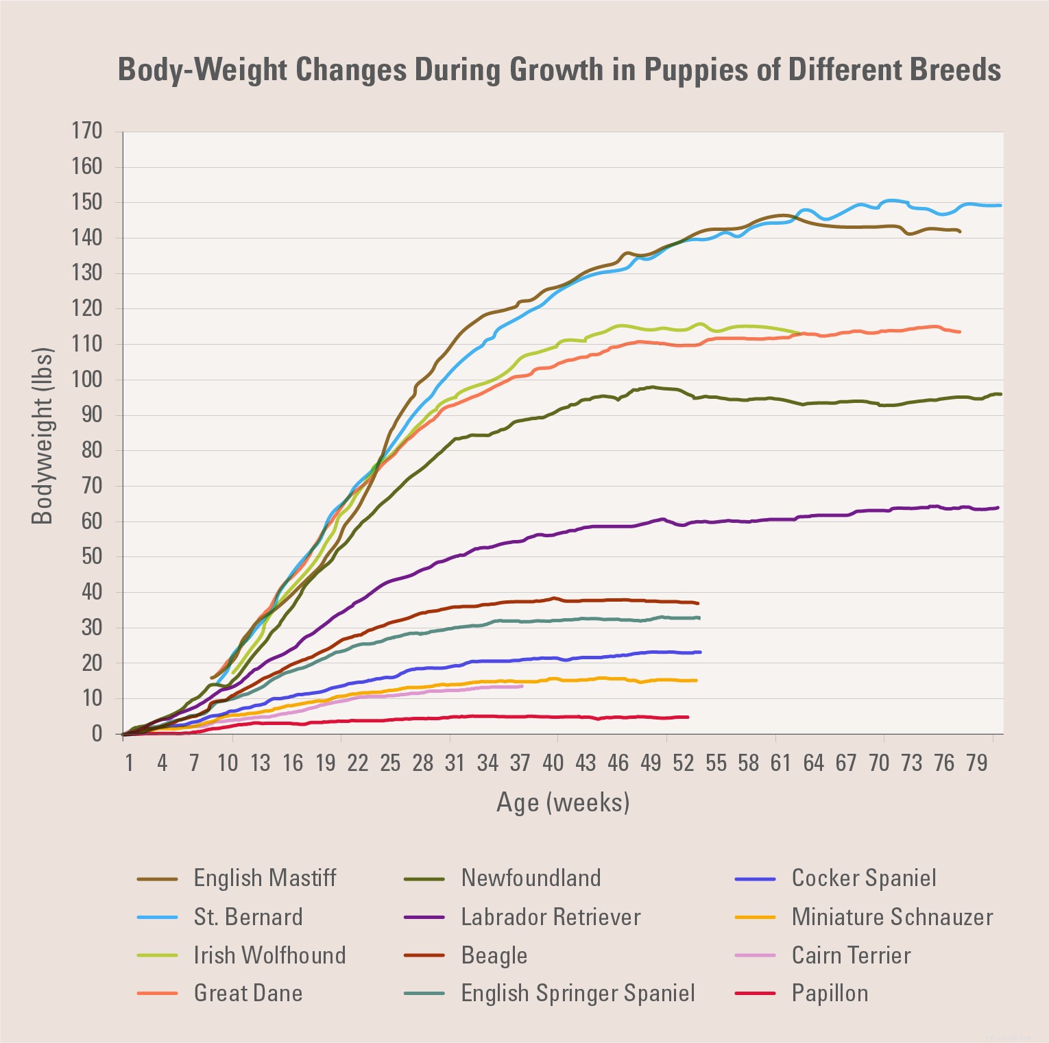 Proper Puppy Nutrition: Feeding Tips for Healthy Growth