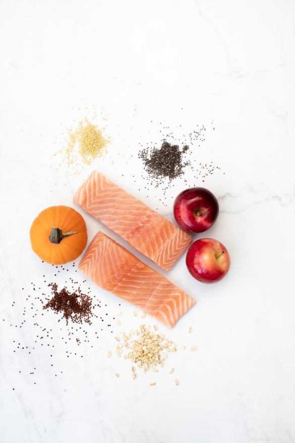 Freeze-Dried Dog Food: Is It a Healthy Choice?
