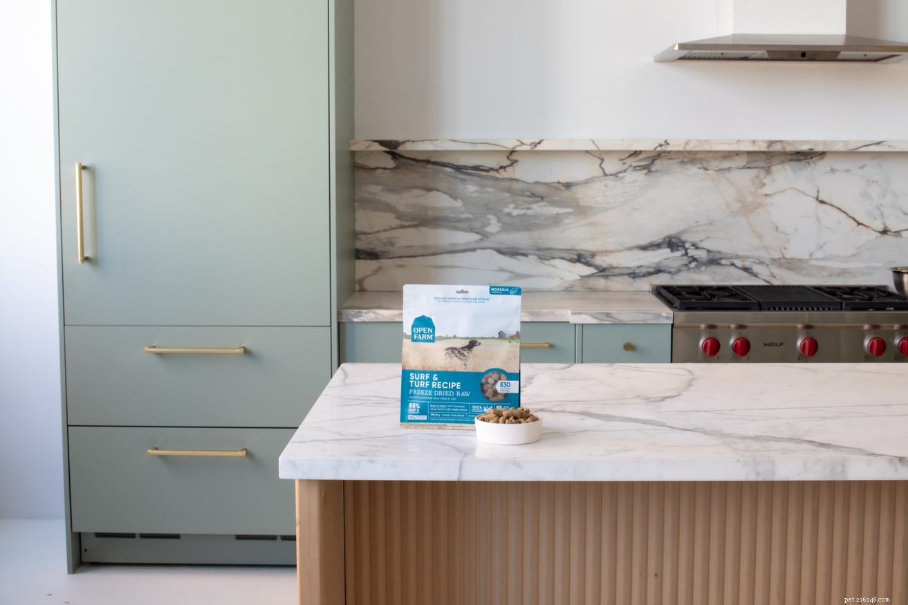 Freeze-Dried Dog Food: Is It a Healthy Choice?