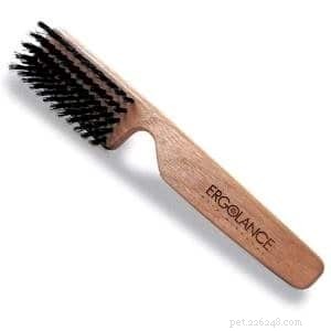 Home Dog Grooming Made Easy: Expert Tips for a Healthy, Happy Pet